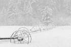 Irrigation sprinkler system in winter snowstorm-Kalispell-Montana Art Print
